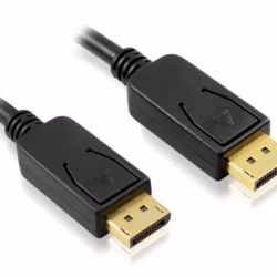 Display Port